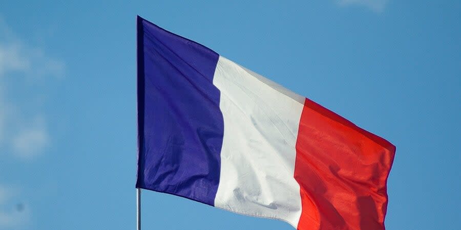 The flag of France