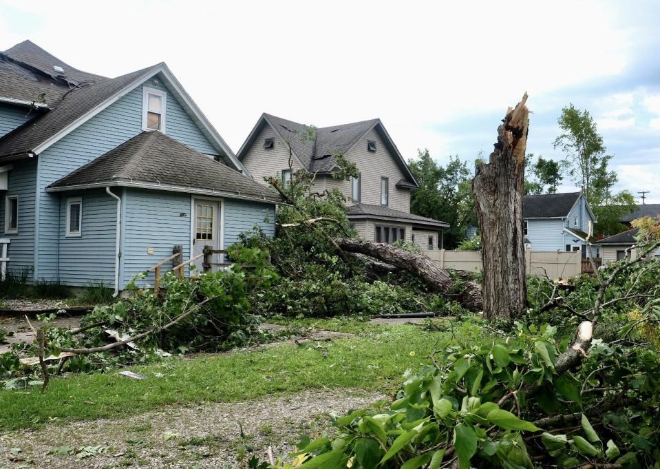 Trees that were torn down by an EF-1 tornado Friday that ripped through the downtown area of Perry are seen Saturday, Aug. 12, 2023.