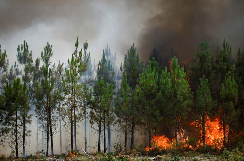 Wildfires continue to spread in the Gironde region