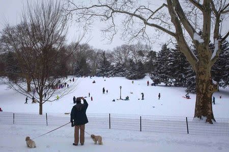 A man stops with dogs to take a photo of Cedar Hill in Central Park following Winter Storm Juno in the Manhattan borough of New York January 27, 2015. REUTERS/Carlo Allegri