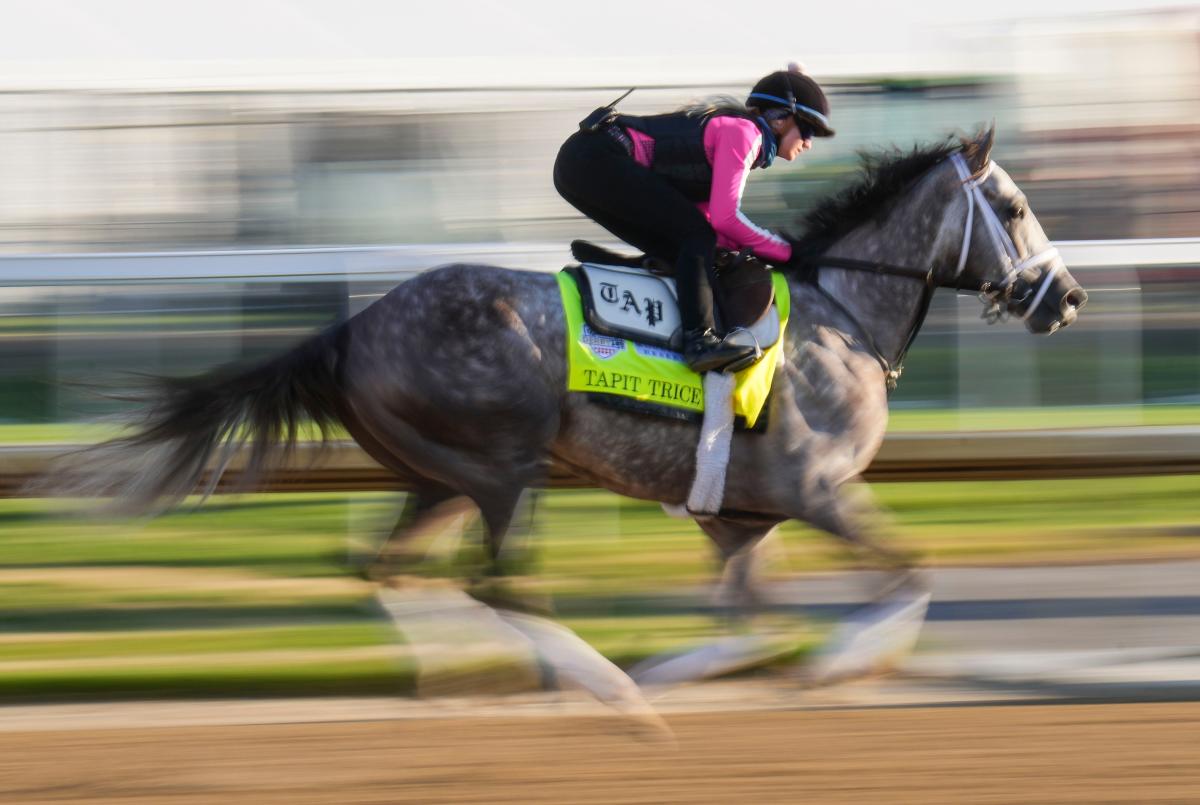 Kentucky Derby 2023 betting strategy Ed DeRosa's picks after scratches