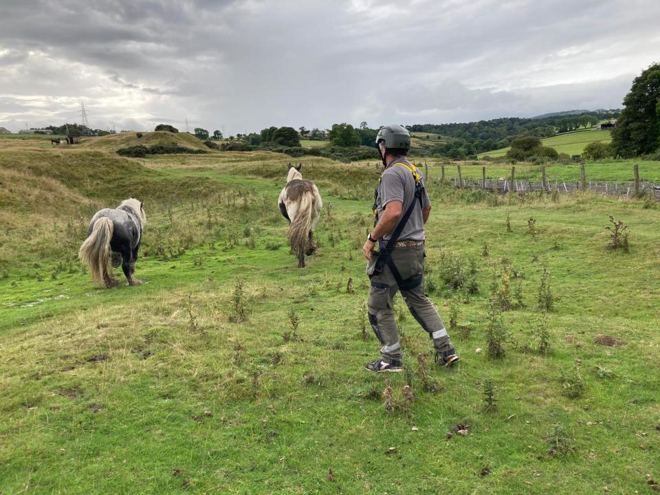 The horse met up with a friend and then galloped away as nothing had happened. 