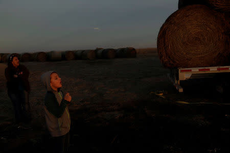 A young boy yells to his father as they prepare to unload a trailer of donated hay to feed cattle that have been displaced by wildfires near Laverne, Oklahoma, U.S., March 12, 2017. REUTERS/Lucas Jackson