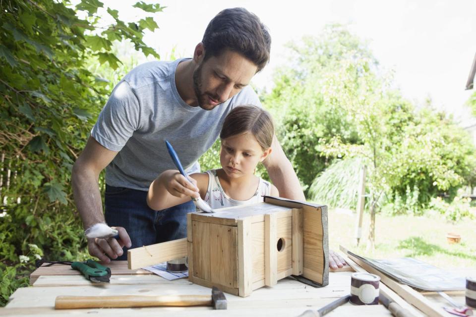 Make Birdhouses