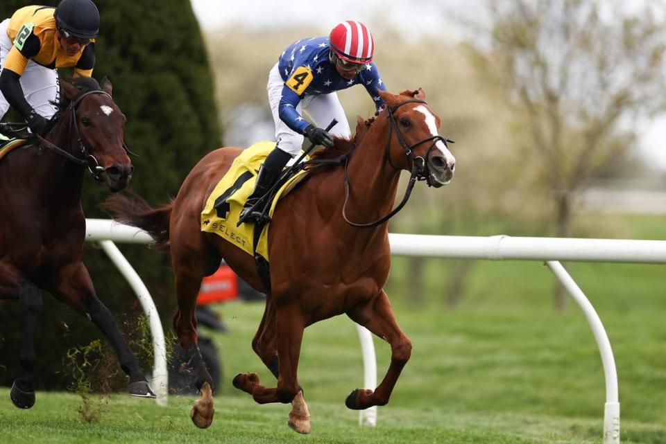 Neat, with Reylu Gutierrez up, wins the 36th running of the Grade 3, $400,000 Transylvania Stakes on Friday at Keeneland.