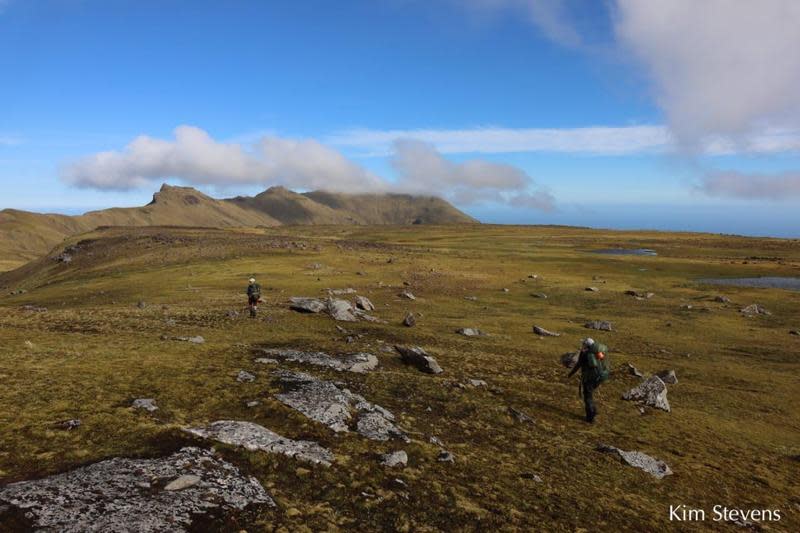 果夫島地處偏遠，英國皇家鳥類保護協會祭出百萬年薪招募人員上島工作。（翻攝推特@RSPBScience）