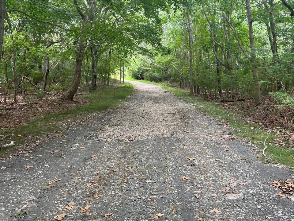 the road path turned into a less paved trail