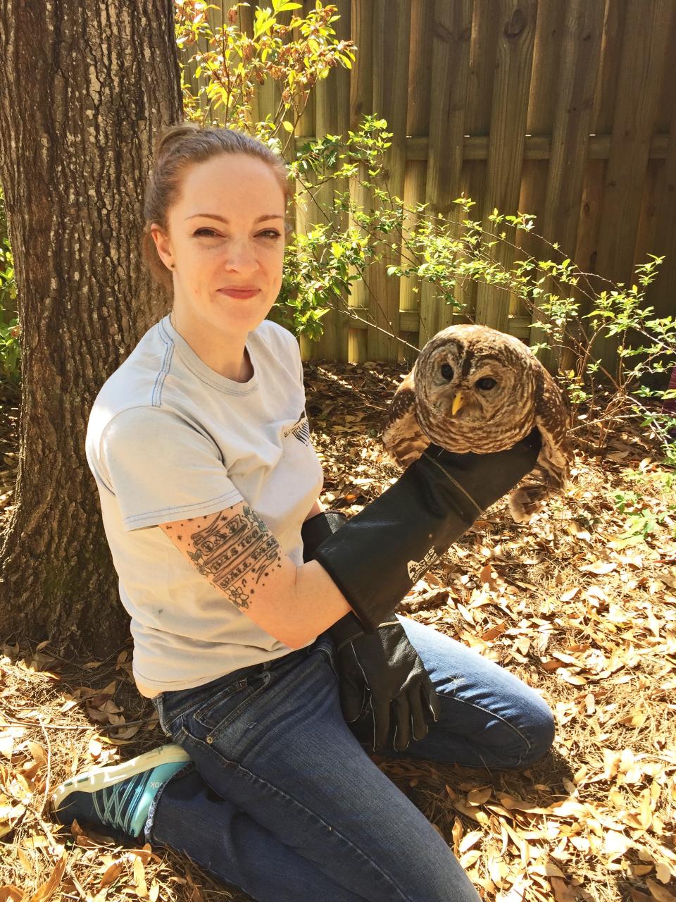 Emily Brann, St. Francis Wildlife’s new wildlife rehabilitator and board president, rescues an injured barred owl.