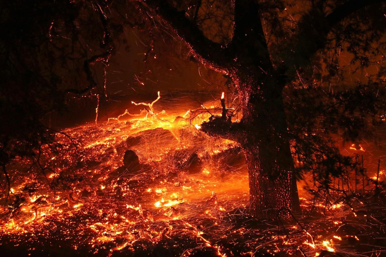 Embers blow in the wind as the Kincaide Fire burns through the area on Oct. 24, 2019 in Geyserville, Calif. Fueled by high winds, the Kincaide Fire has burned over 7,000 acres in a matter of hours and has prompted evacuations in the Geyserville area.
