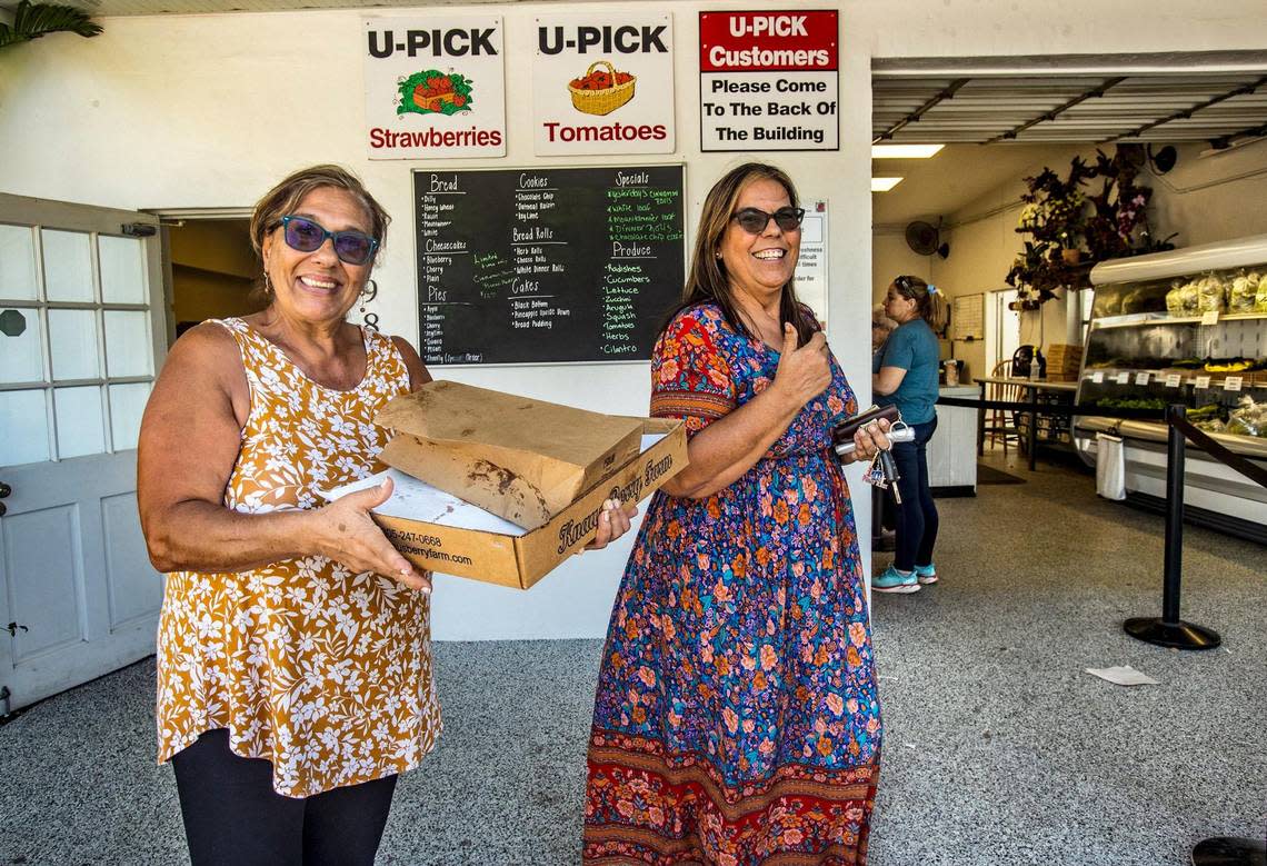 Nora Pinger and Dora Ortega have been customers of Knaus Berry Farm in Homestead for 20 years, they said. On Feb. 24, 2023, they happily scored boxes of the homemade cinnamon rolls.