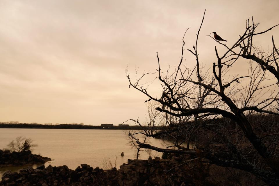 A robin calls from a branch overlooking Elks Lake near Iola on March 30, 2023.