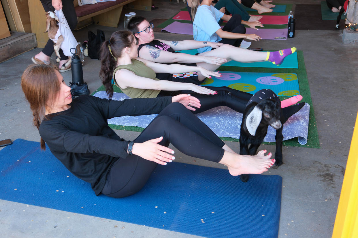 A yoga student looks on as a young goat comes close at goat yoga last weekend at The Garage event venue on the Historic Route 66 in Amarillo.