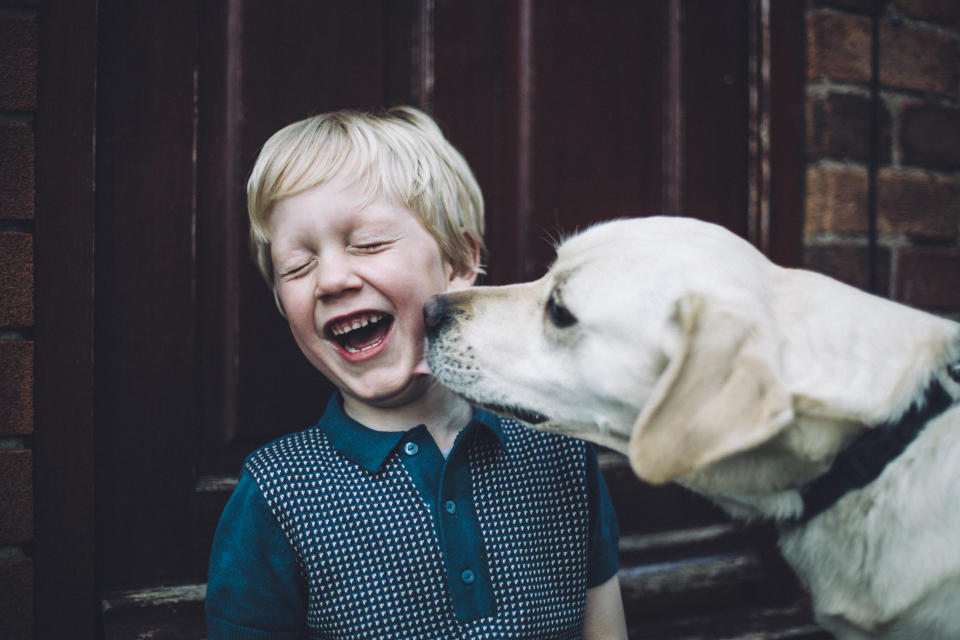 Haben Kinder einen respektvollen Umgang mit Hunden gelernt, steht einer liebevollen Beziehung nichts im Weg.