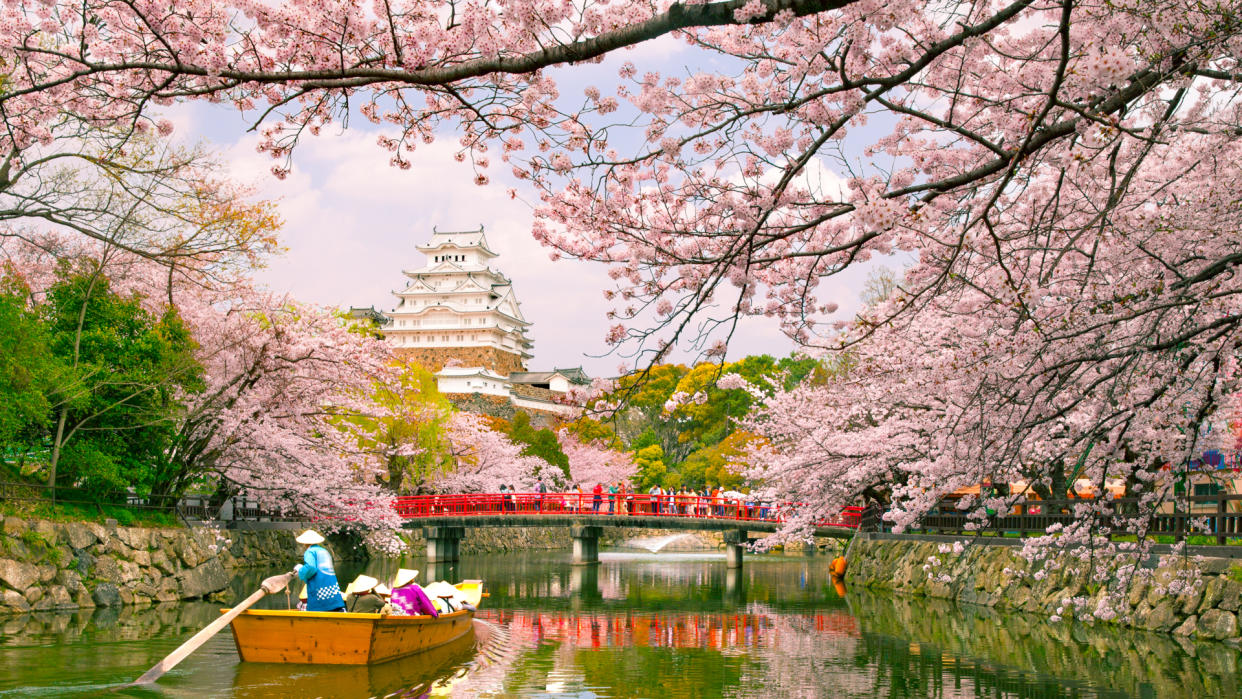 Himeji, Japan - April 3, 2016: Himeji Castle with beautiful cherry blossom in spring season.