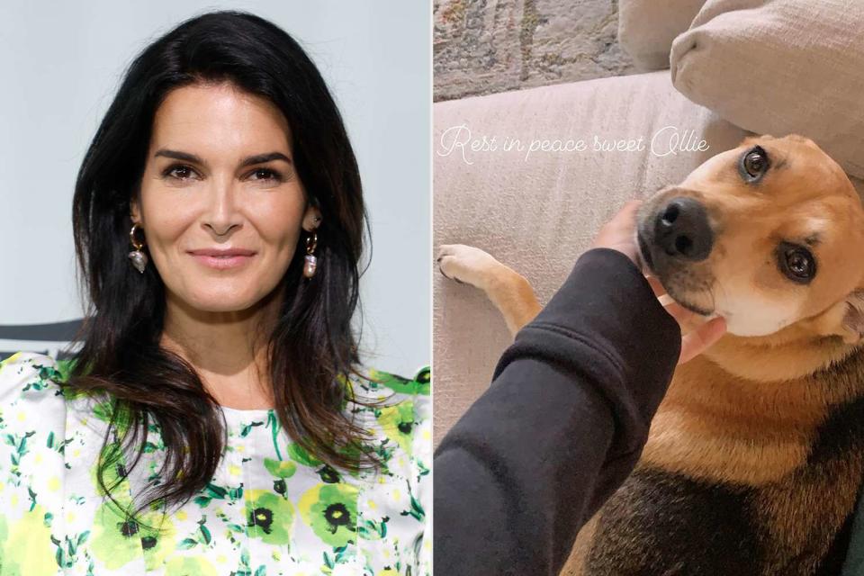 <p>John Lamparski/WireImage; Angie Harmon/Instagram</p> Angie Harmon (left) and her dog Oliver