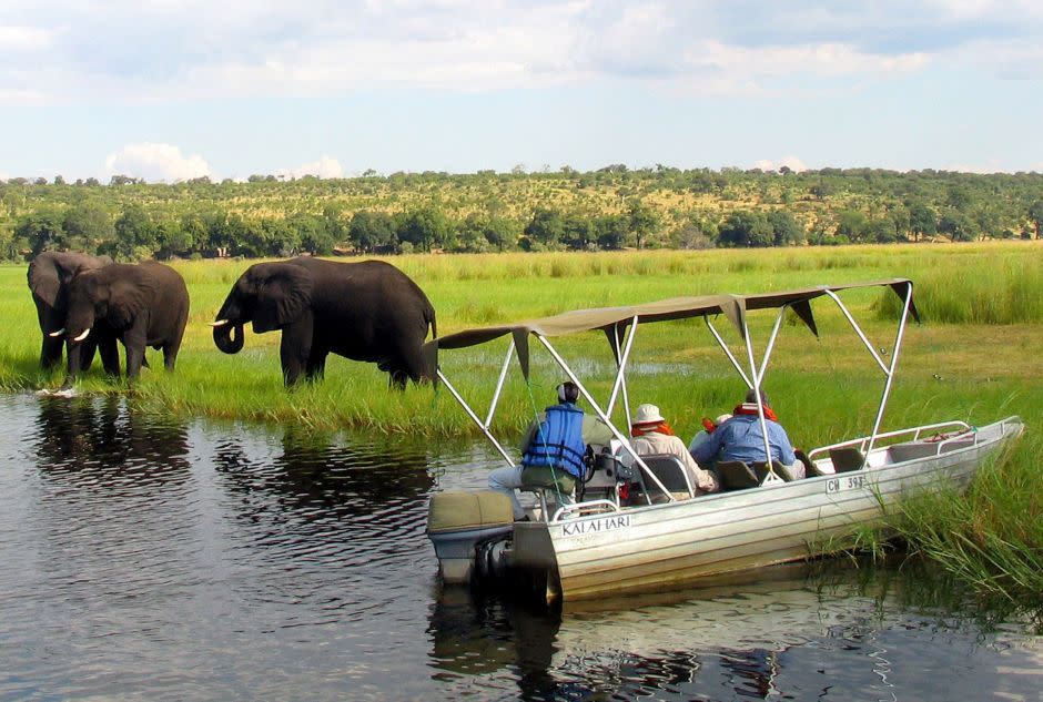 Foreign tourists observe elephants along the Chobe river bank near Botswana's northern border where Zimbabwe, Zambia and Namibia meet.