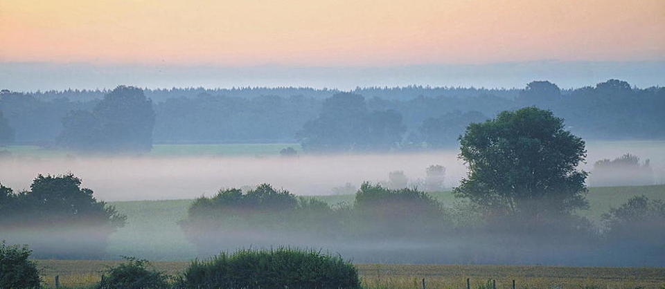 Sur la moitié nord, le brouillard sera au rendez-vous en début de journée.
