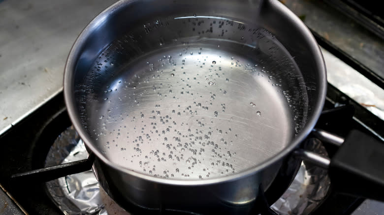 Simmering water in pot 