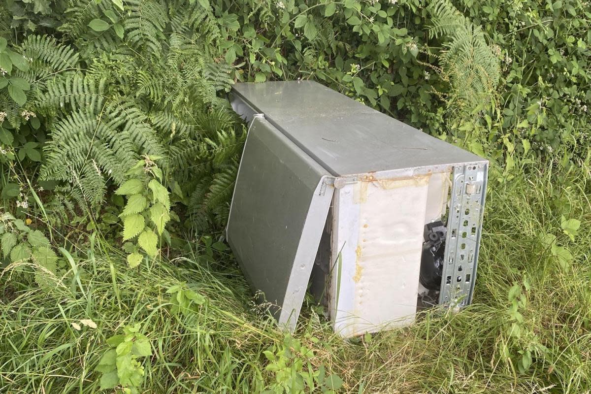 Junk - the fridge in the bushes <i>(Image: Anonymous)</i>