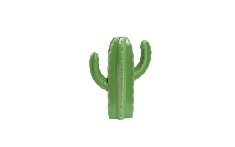 Cactus vase