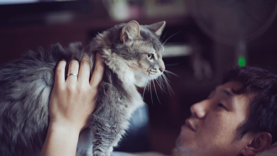 Man holding cat