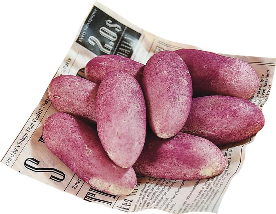 〈紫薯地瓜麵包〉內餡是地瓜。圖／姚舜