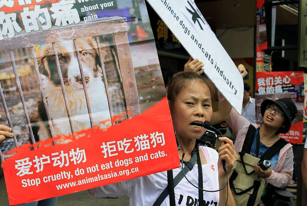 Animal rights activists protest outside a dog meat restaurant in Yulin: AFP/Getty Images