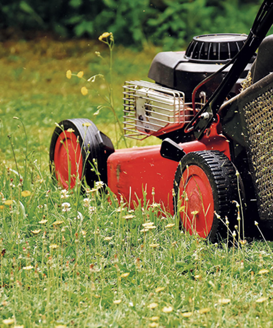 mowing a lawn with a lawn mower