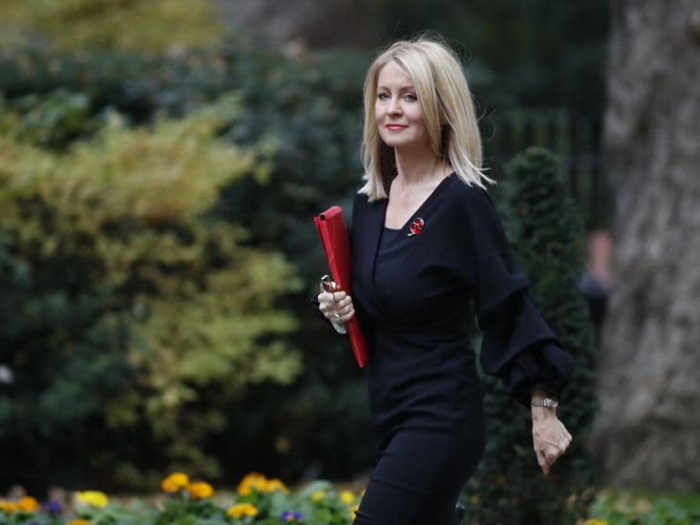 Esther McVey resigns: Brexiteer becomes third minister to quit Theresa May's government over deal