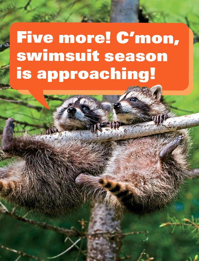 Exercise memes: 2 raccoons doing pull-ups on a tree branch with caption: 