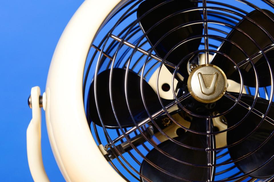 Hot and Bothered? Not With These Summer-Ready Cooling Fans