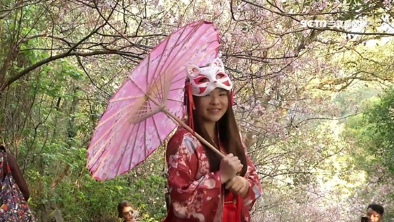 有人為應景穿上和服搭配狐狸面具配上櫻花紙傘。