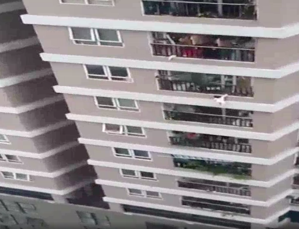 <p>Screengrab from a short video where the girl can be seen hanging from the balcony before she falls</p> (Quang Son)