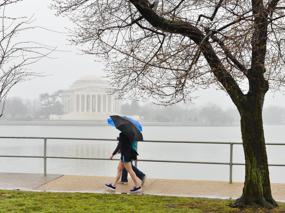 people walking in front of the jefferson memorial in DC with umbrellas