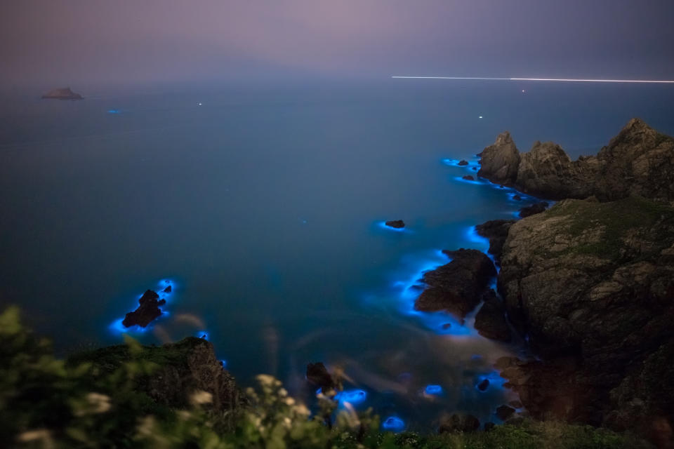 藍眼淚是馬祖知名美景。（資料照／Getty Images）