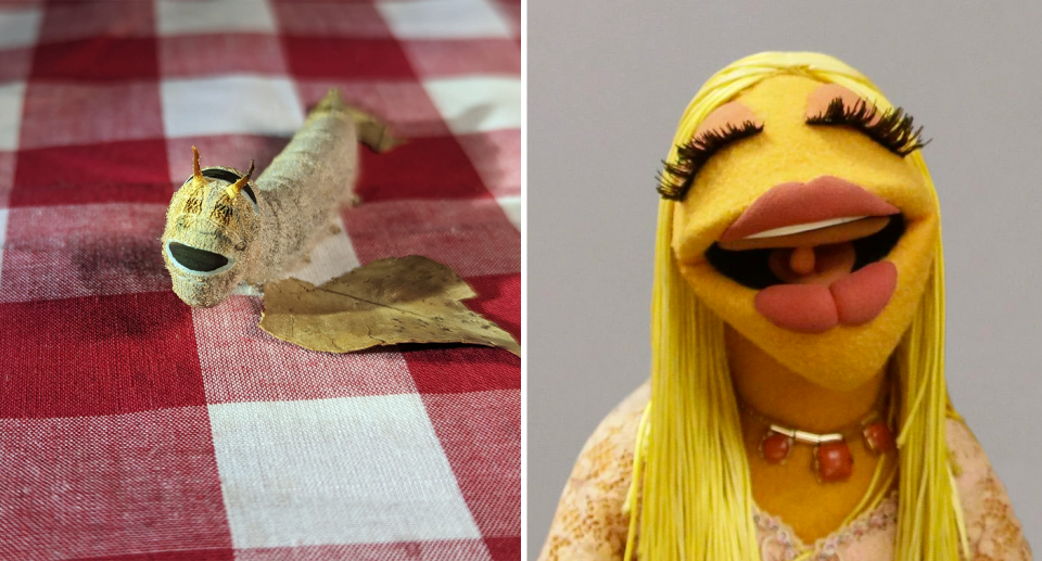 A caterpillar on a red tablecloth compared to Janis the Muppet.