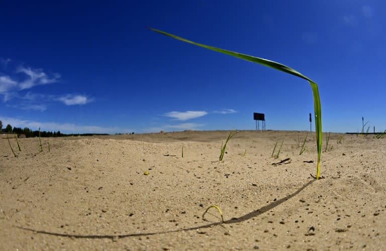 Hochrangige Vertreterinnen und Vertreter aus etwa 40 Staaten kommen am Donnerstag zum Petersberger Klimadialog nach Berlin. Das zweitägige Treffen soll vor der UN-Klimakonferenz im Herbst in Baku Schwung in die internationale Klimadiplomatie bringen. (Tobias SCHWARZ)