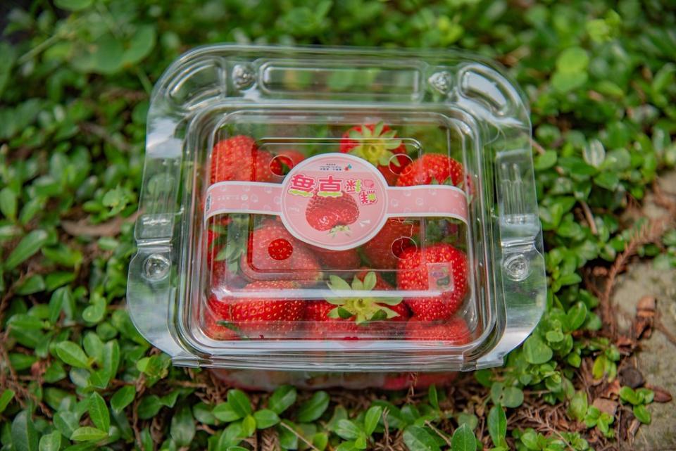 台一生態休閒農場所生產的「400g塑膠手提盒草莓」。圖片來源：農業部苗栗區農業改良場提供