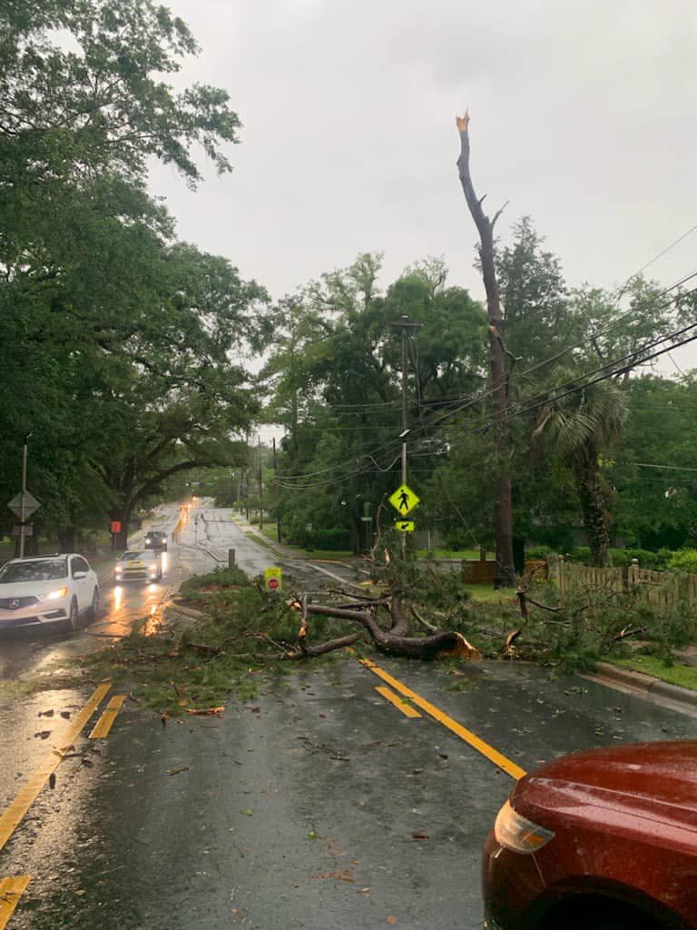 Crews are hard at work clearing downed trees and power lines.