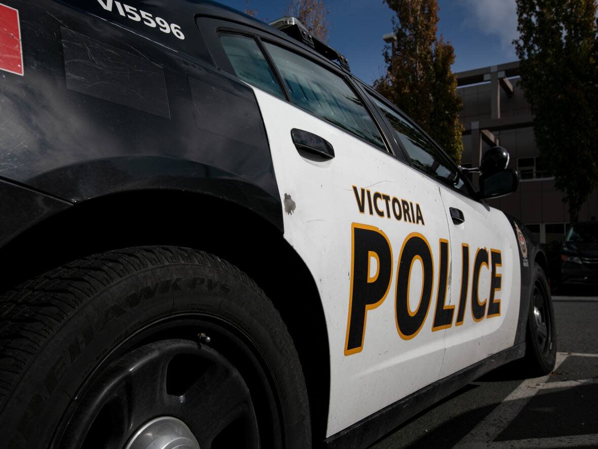 Victoria police have opened an investigation and are searching for two men who allegedly sexually assaulted a teen girl on Dec. 6.  (Ken Mizokoshi/CBC - image credit)
