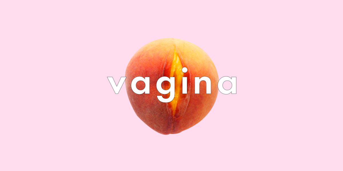 45 Weird And Funny Words For Vagina Ranked 5641