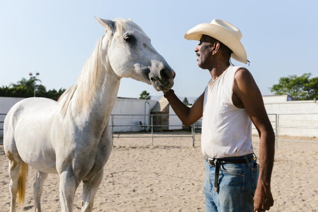 Learn these funny southern sayings. Pictured: A Cowboy Taking Care of His White Horse.