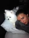 Celebrity Twitpics: TOWIE’s Lucy Mecklenburgh added to her brood of dogs with this cute pooch, Lola, last week. This week Lucy tweeted a cute photo of the pair snuggled up in bed.