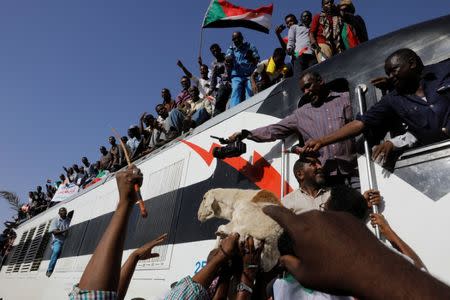 A sheep is presented to the protesters on a train from Atbara, the birthplace of an uprising that toppled Sudan's former President Omar al-Bashir, as the approaches to a train station as part of a symbolic gesture of support for demonstrators camped at a sit-in outside the defence ministry compound, in Khartoum, Sudan, April 23, 2019. REUTERS/Umit Bektas