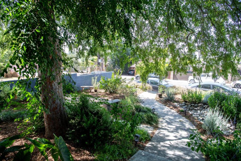 Drought tolerant plants fill a front yard.