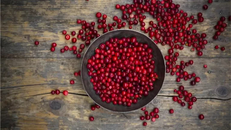 Los arándanos rojos son muy utilizados en la dieta nórdica.