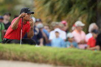 MIAMI, FL - MARCH 11: Tiger Woods waits on the fourth green during the final round of the World Golf Championships-Cadillac Championship on the TPC Blue Monster at Doral Golf Resort And Spa on March 11, 2012 in Miami, Florida. (Photo by Scott Halleran/Getty Images)