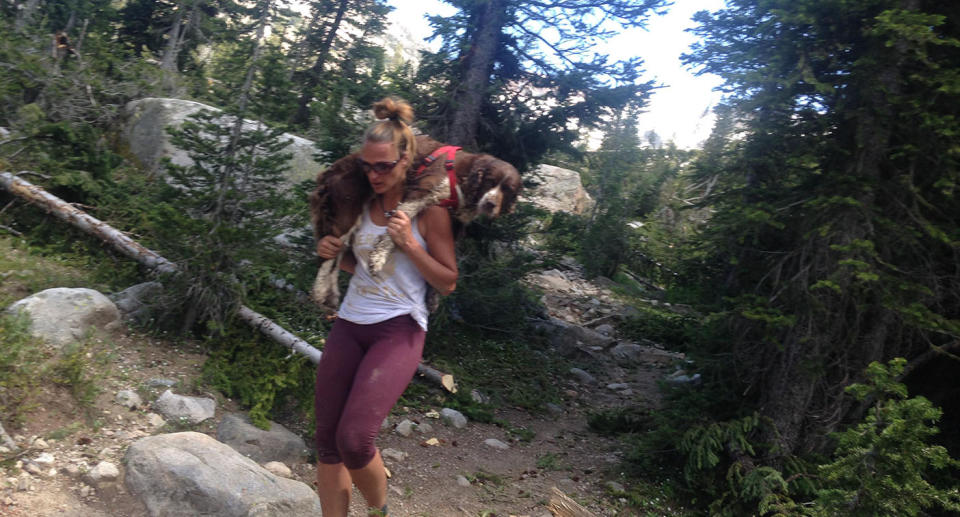 Tia Vargas rescued an injured English springer spaniel dog from a mountaintop at Table Rock, Idaho, United States