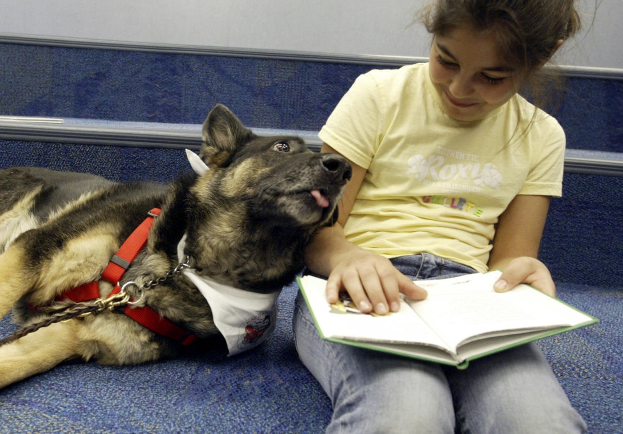 Reading to dogs has been shown to help socialize dogs and help kids improve their reading skills. When 3-year-old German shepherd Quaker (not pictured) was banned from a library in New Zealand, library staff thought it was time to adopt a similar service. (Photo: Getty Images)