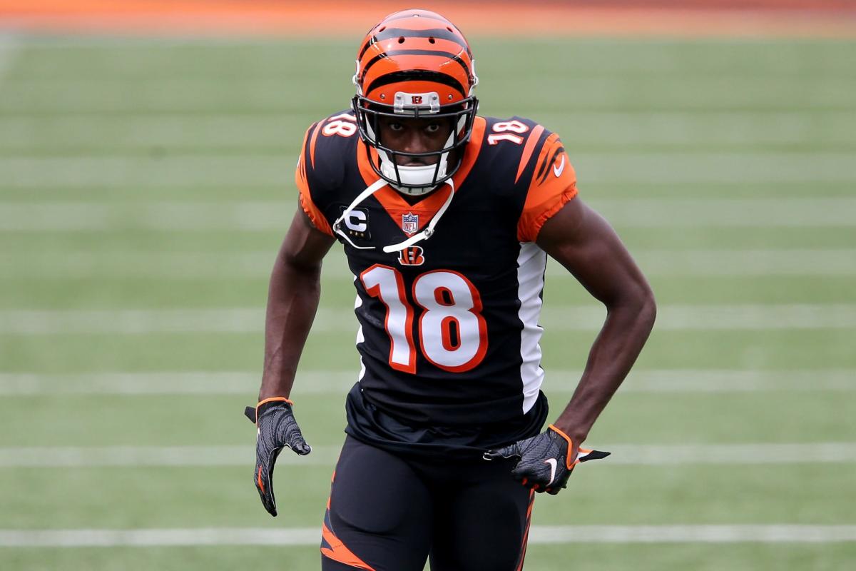 Ready to Rule The Jungle! - Cincinnati Bengals